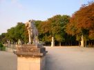  Un lion du jardin du Luxembourg